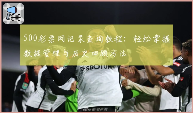 500彩票网记录查询教程：轻松掌握数据管理与历史回顾方法