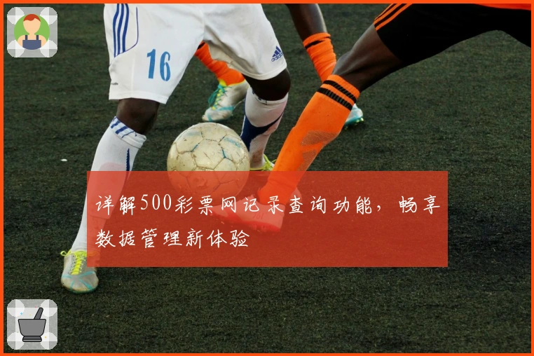 详解500彩票网记录查询功能，畅享数据管理新体验