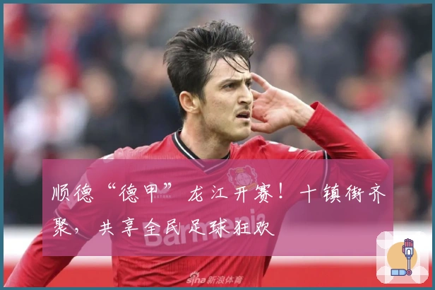 顺德“德甲”龙江开赛！十镇街齐聚，共享全民足球狂欢