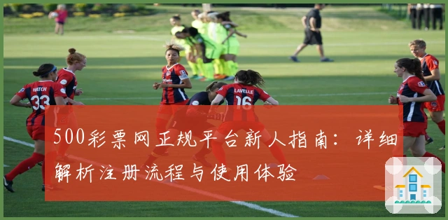 500彩票网正规平台新人指南：详细解析注册流程与使用体验