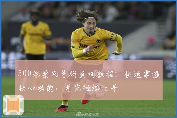 500彩票网号码查询教程:快速掌握核心功能,看完轻松上手