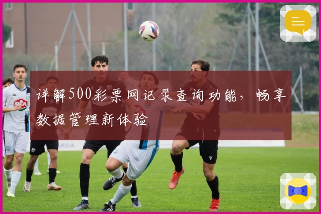 详解500彩票网记录查询功能，畅享数据管理新体验